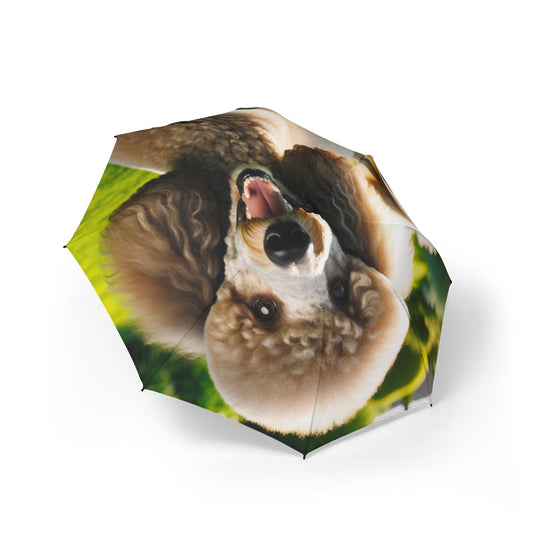Standard Poodle Semi-Automatic Foldable Umbrella