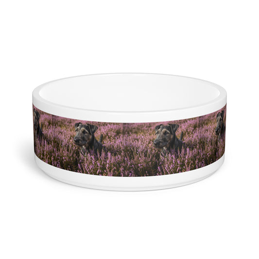 Glen of Imaal Terrier Pet Bowl