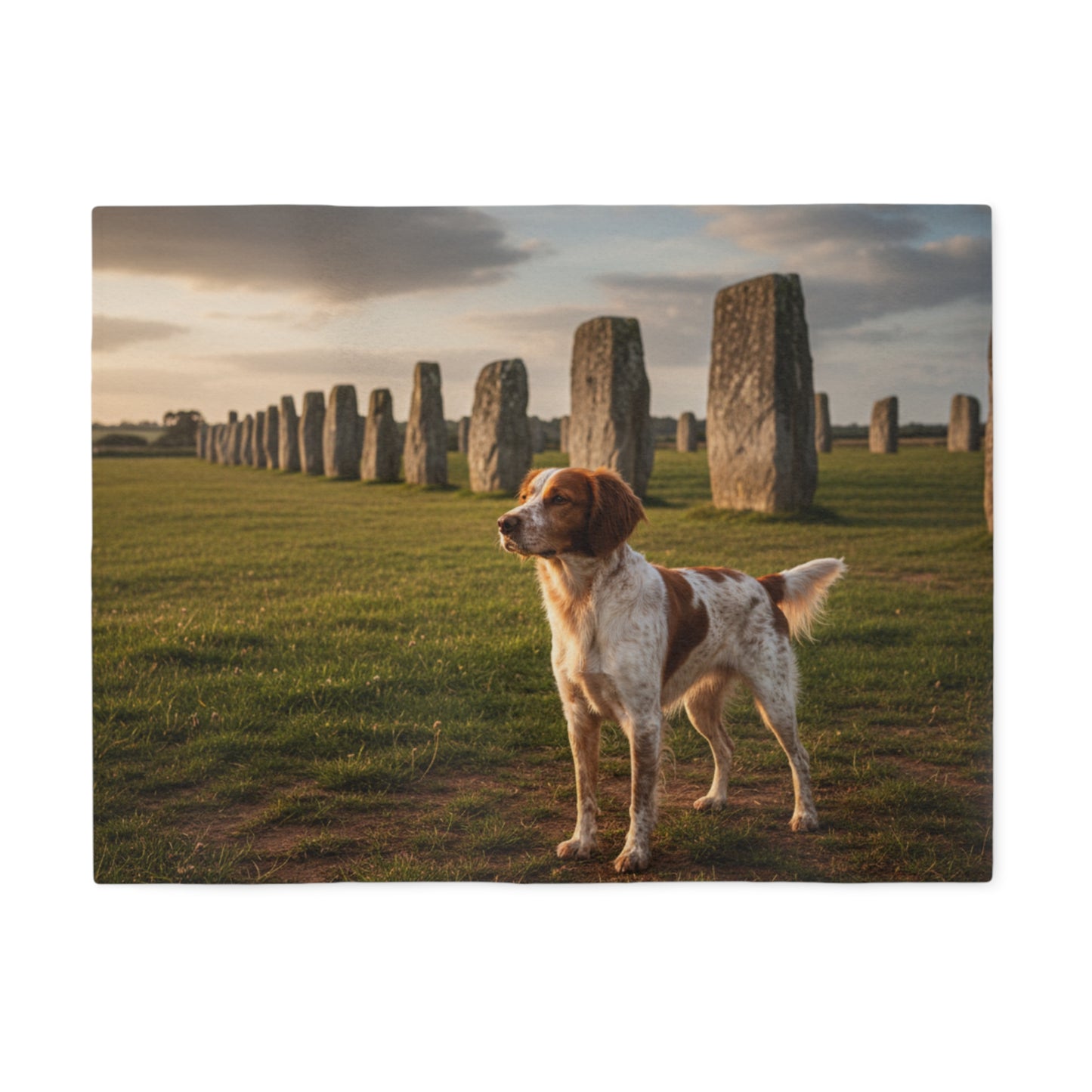 Brittany Spaniel Blanket
