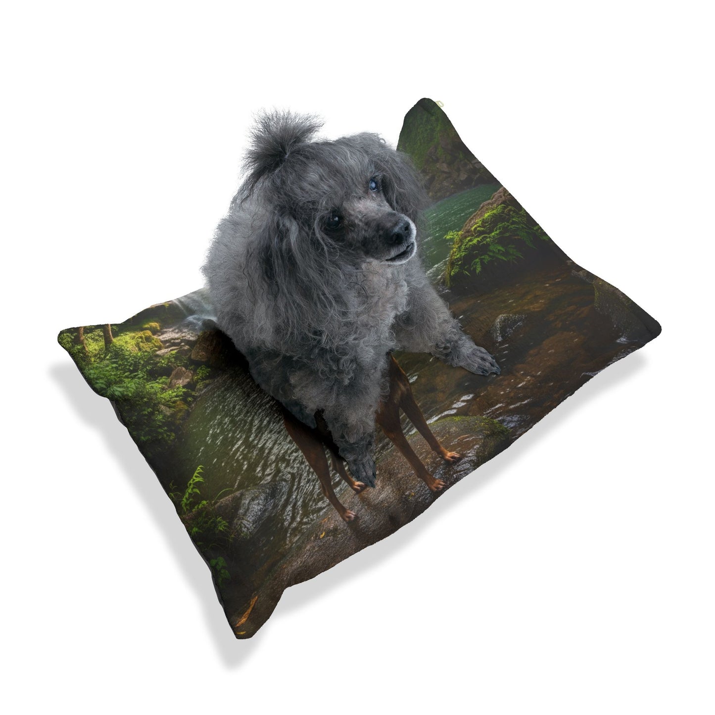 Thai Ridgeback Pet Bed
