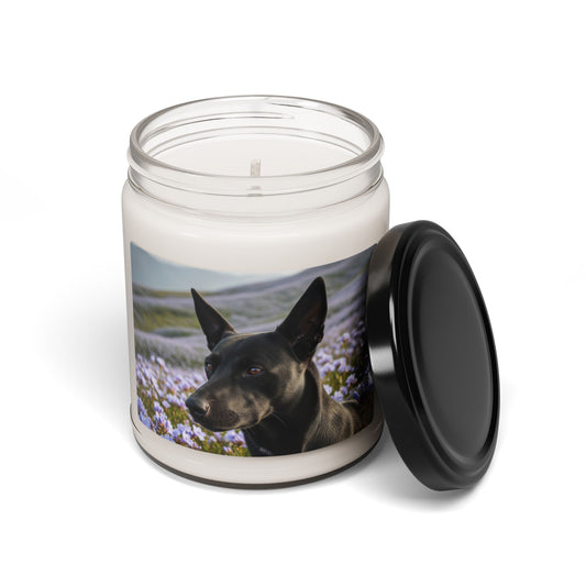 Kanni- Scented Soy Candle, 9oz