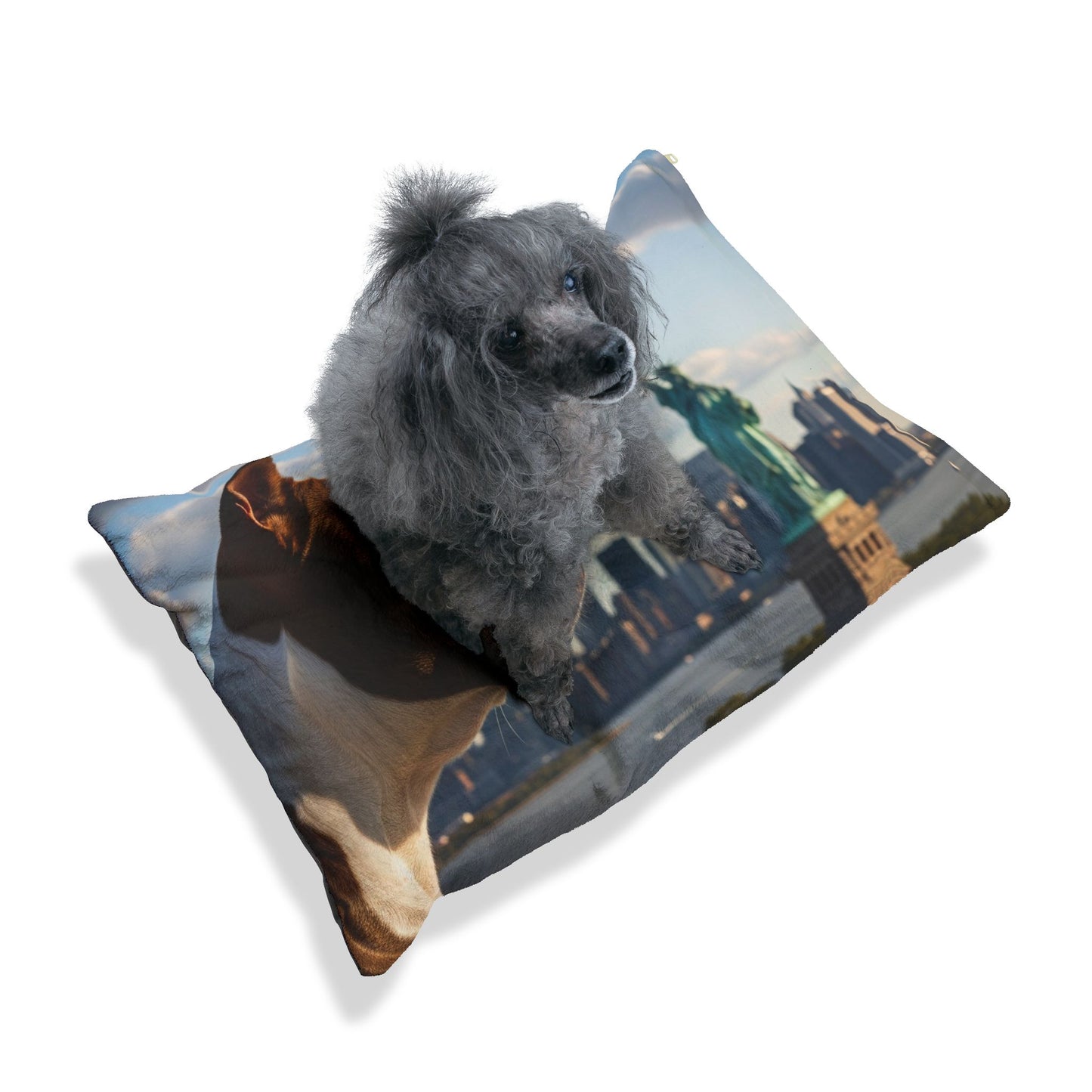 American Staffordshire Terrier Pet Bed