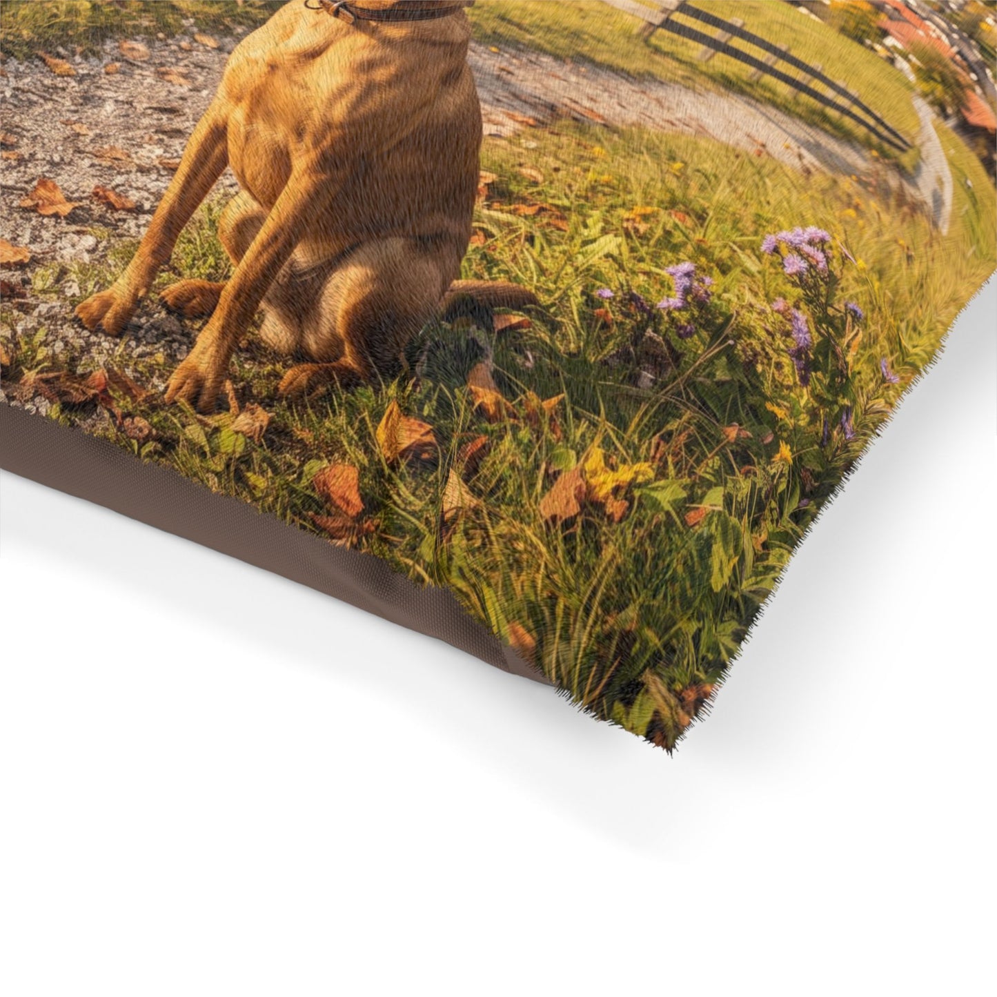 Austrian Pinscher Pet Bed