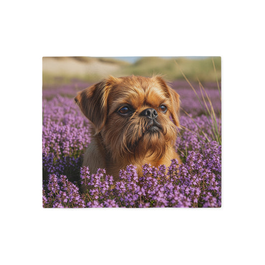 Griffon Bruxellois Sweatshirt Blanket