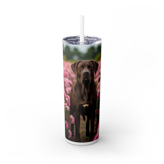 Broholmer Tumbler with Straw, 20oz