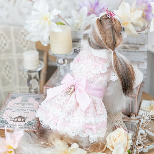 Luxury design dog dress vintage lace