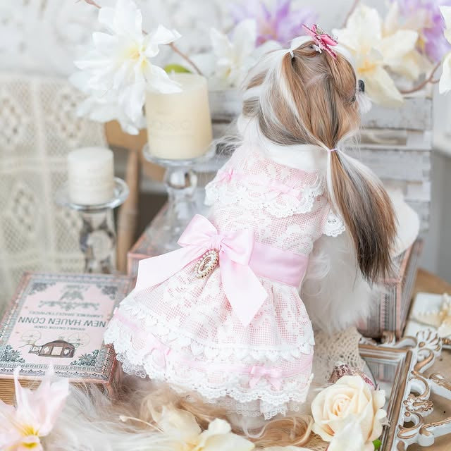 Luxury French Lace Princess Dog Dress with Satin Bow for Small Dogs