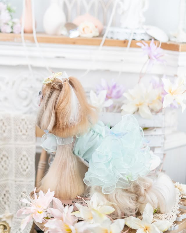 Luxury design dog dress diamond butterfly 2 colors