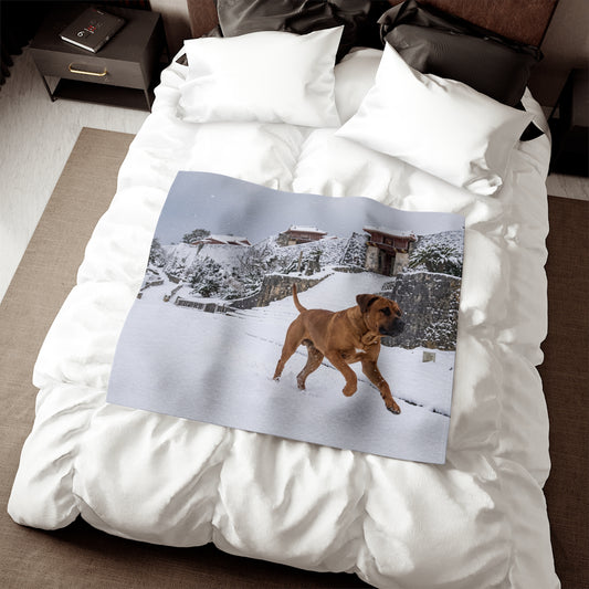 Tosa Blanket