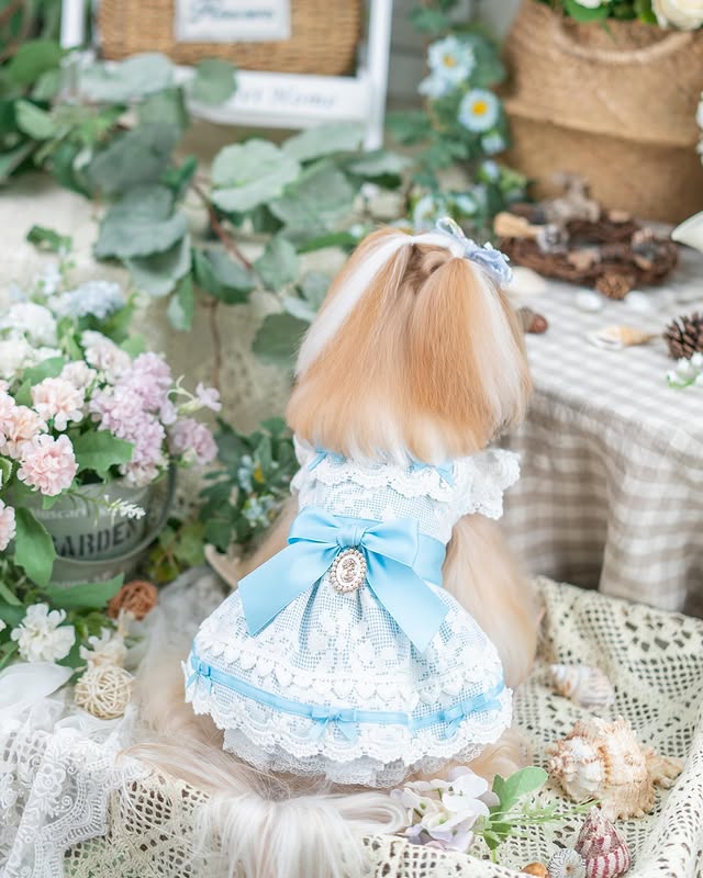 Luxury French Lace Princess Dog Dress with Satin Bow for Small Dogs
