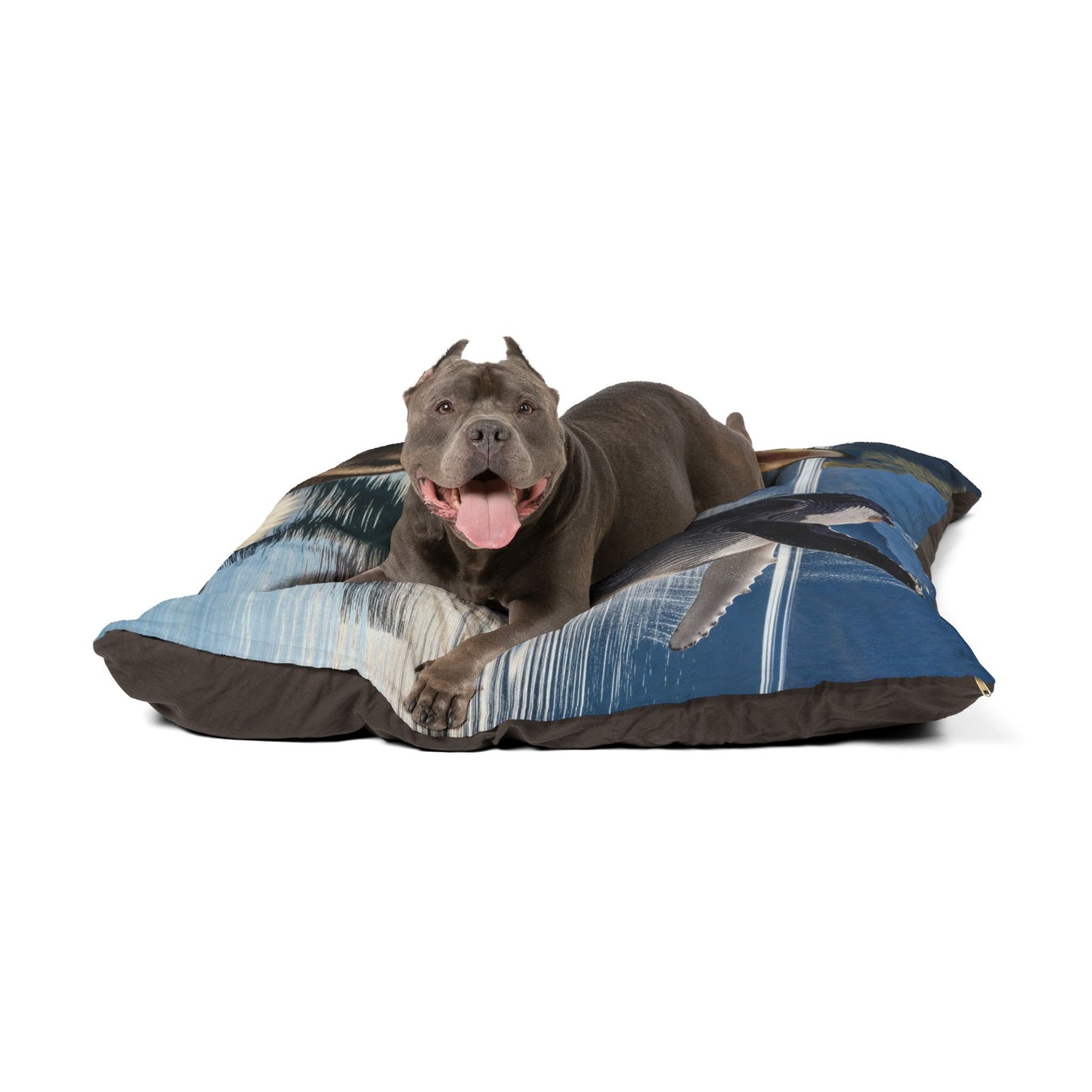 Alaskan Klee Kai Pet Bed