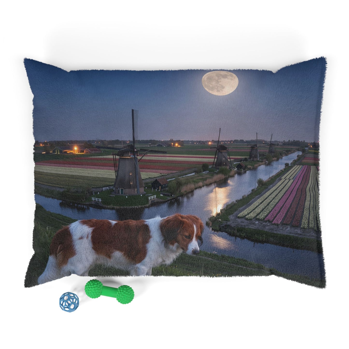 Nederlandse Kooikerhondje Pet Bed