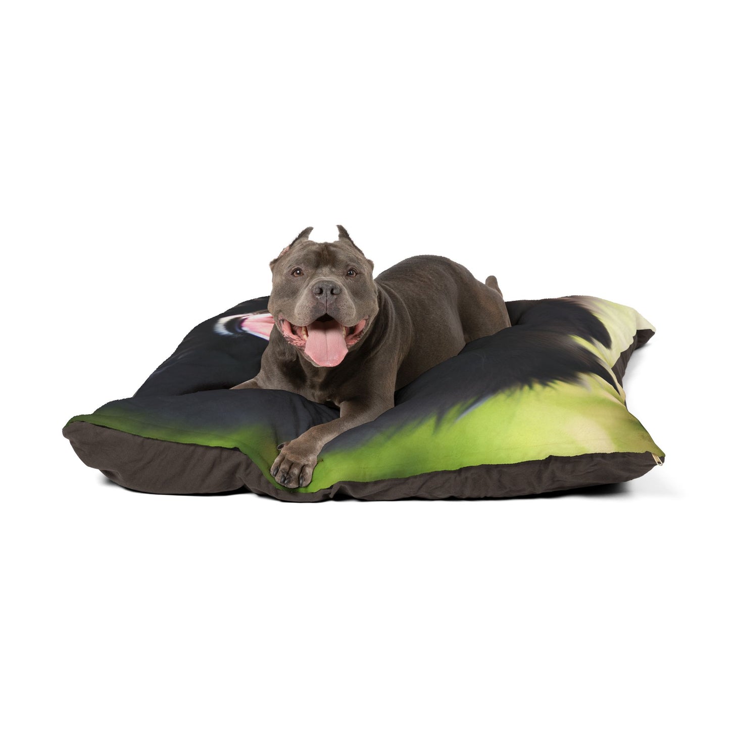 Swedish Lapphund Pet Bed