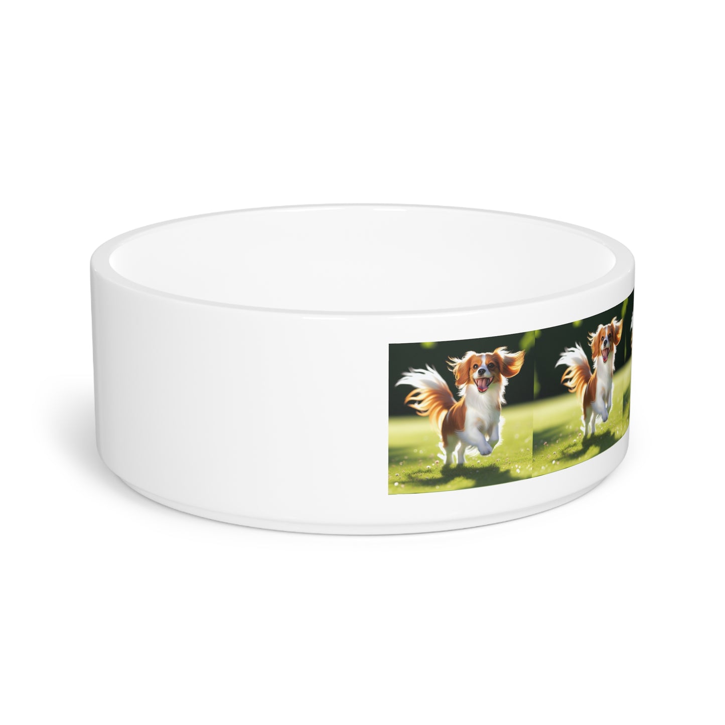 Cuenco para mascotas Nederlandse Kooikerhondje