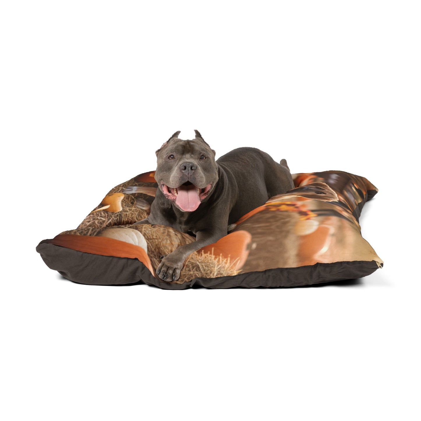 Autumn Pumpkin Patch Pet Bed