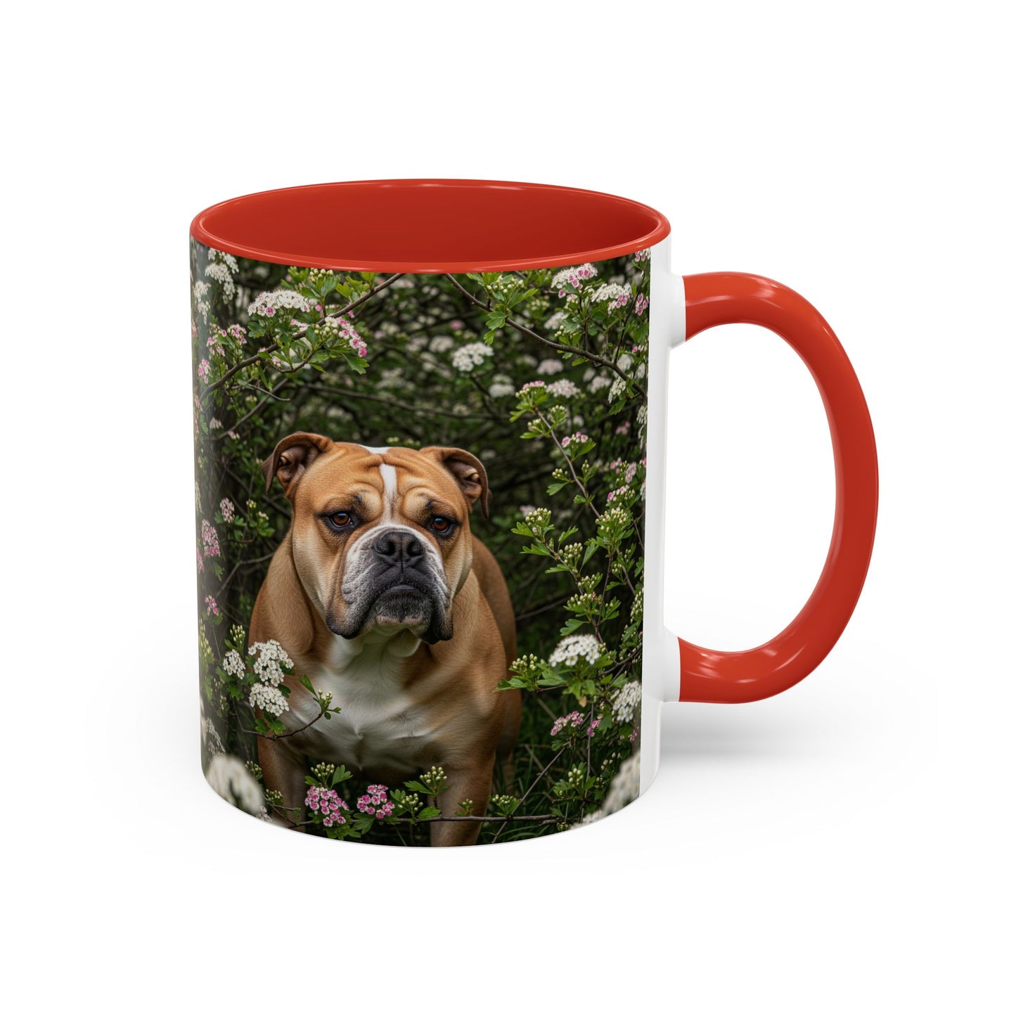 Mug à café Olde English Bulldogge Accent - Cadeau idéal pour les amoureux des chiens