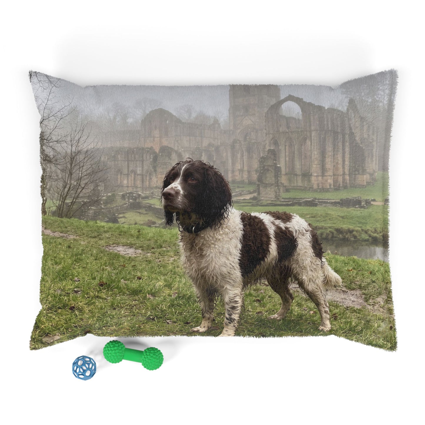 English Water Spaniel Pet Bed