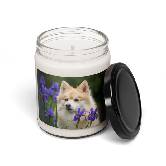 Pomsky- Scented Soy Candle, 9oz