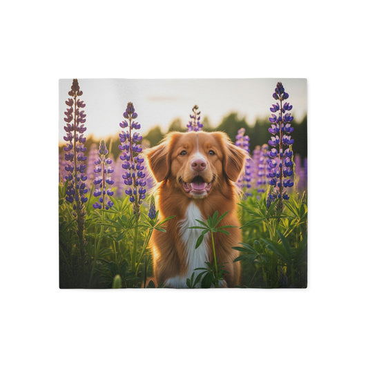 Nova Scotia Duck Tolling Retriever Sweatshirt Blanket