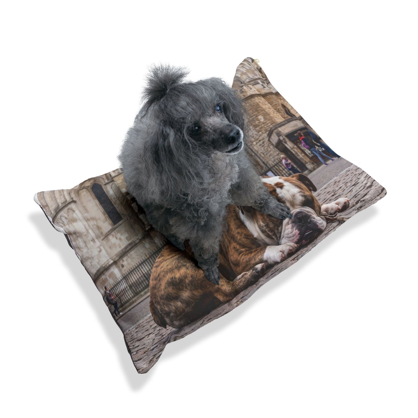 Old English Bulldog Pet Bed