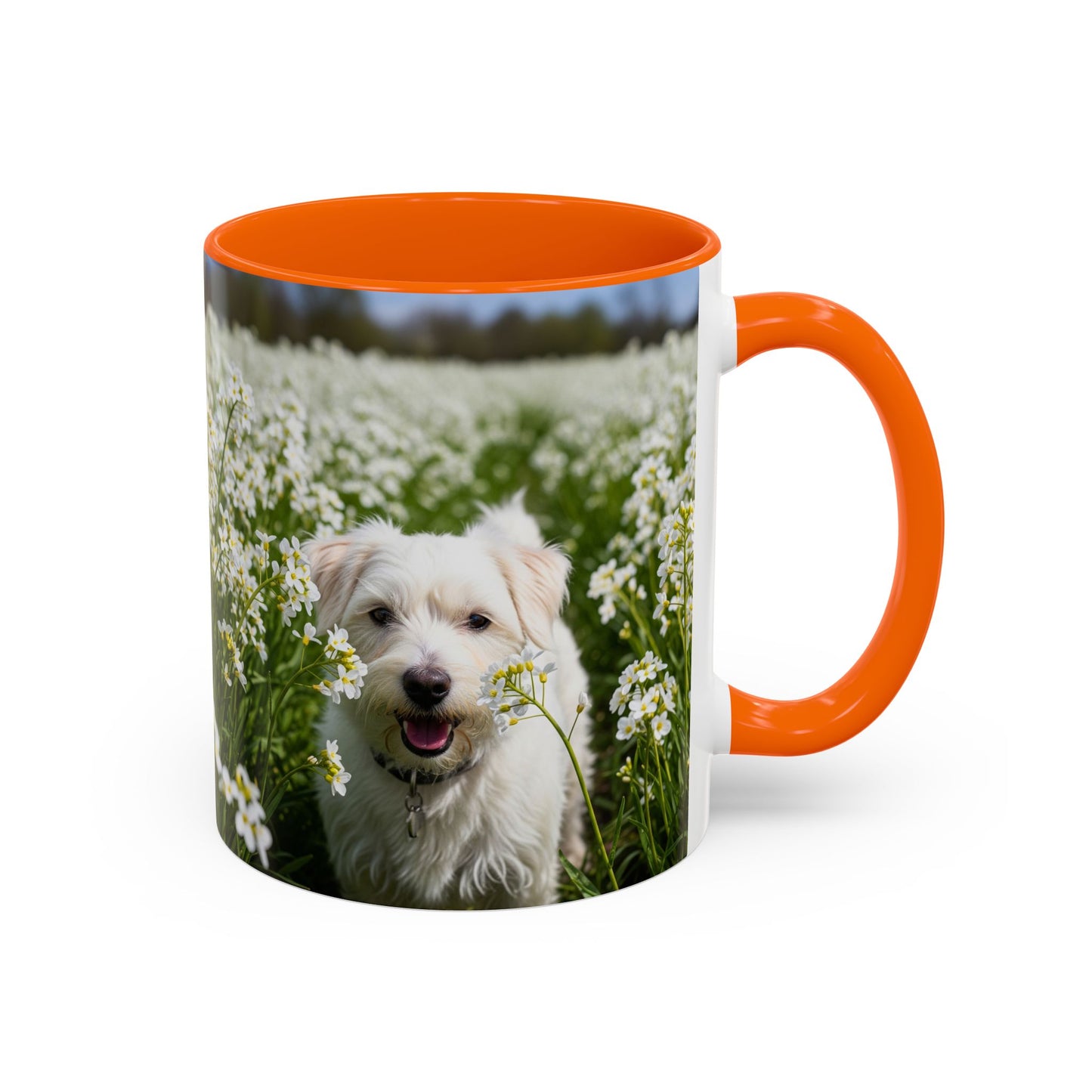 Taza de café con acento Kromfohrlander: el regalo perfecto para los amantes de los perros