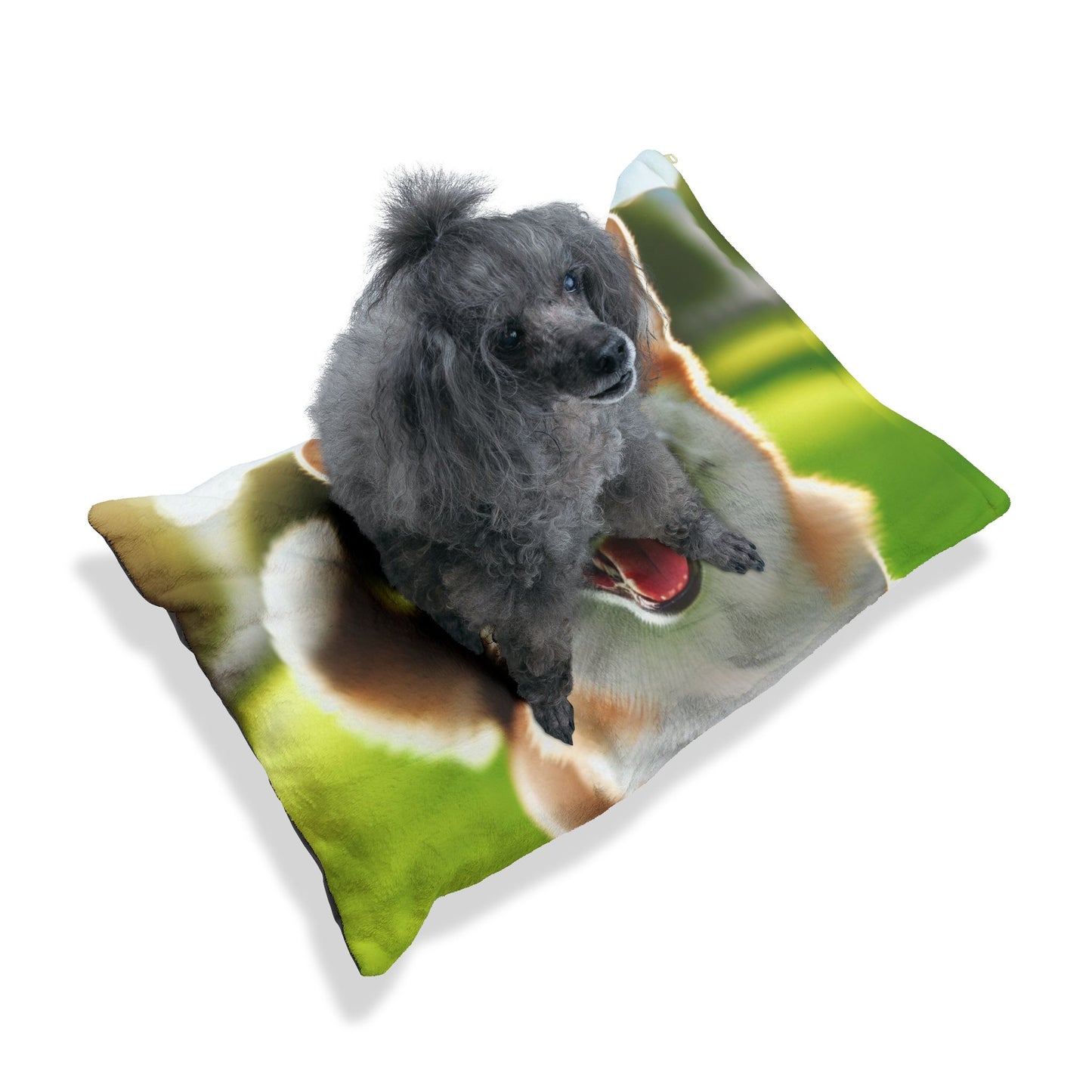 Welsh Corgi Pembroke Pet Bed