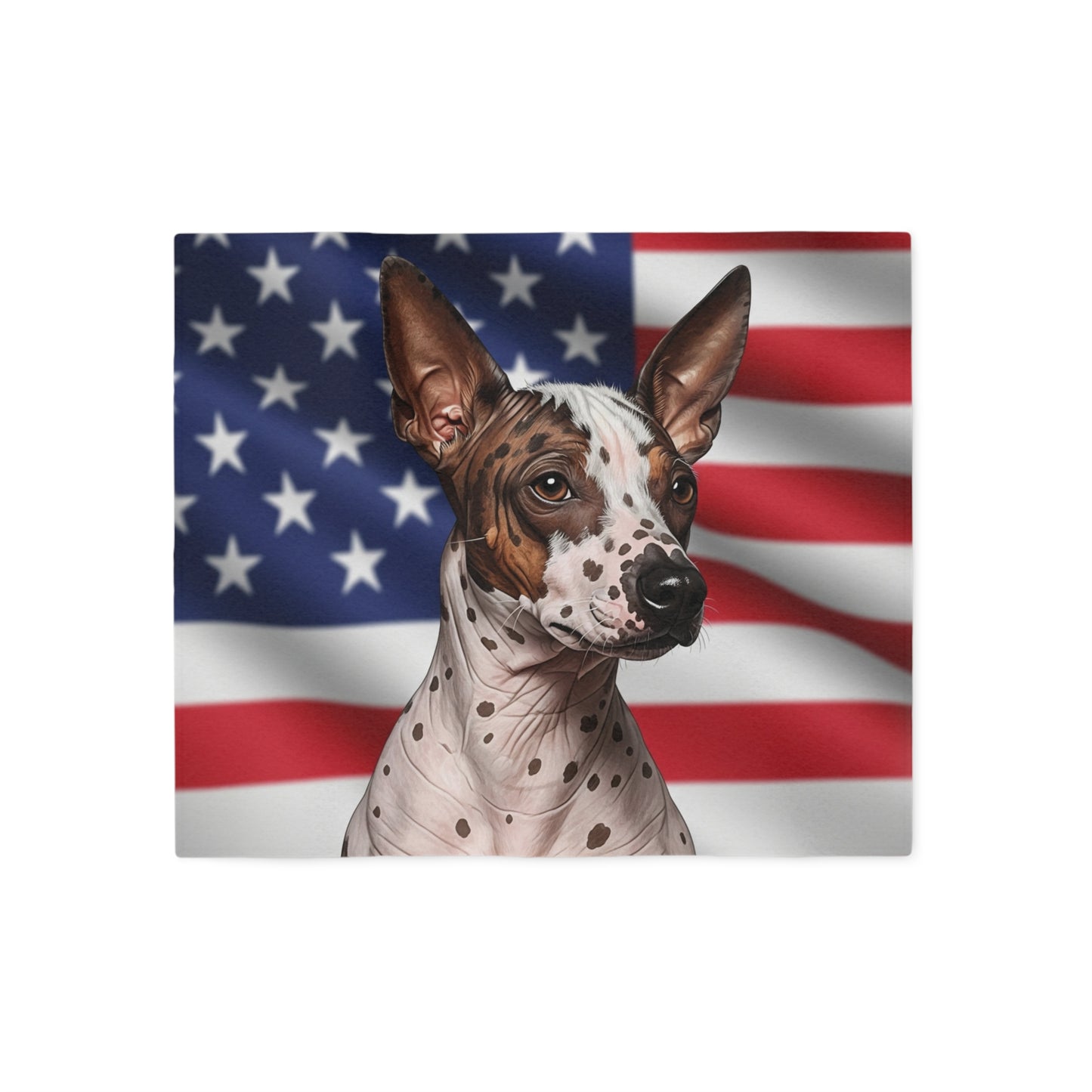 American Hairless Terrier Patriotic Blanket