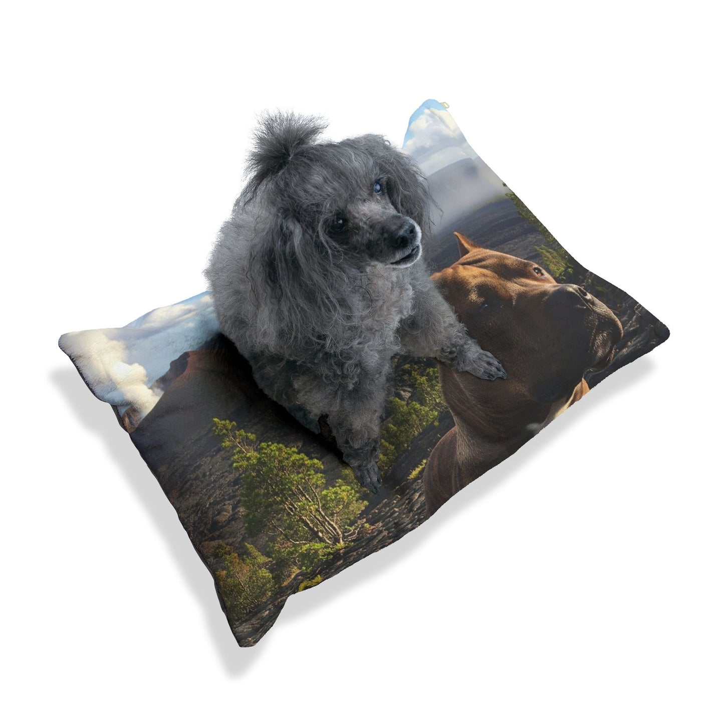 Pit Bull Pet Bed
