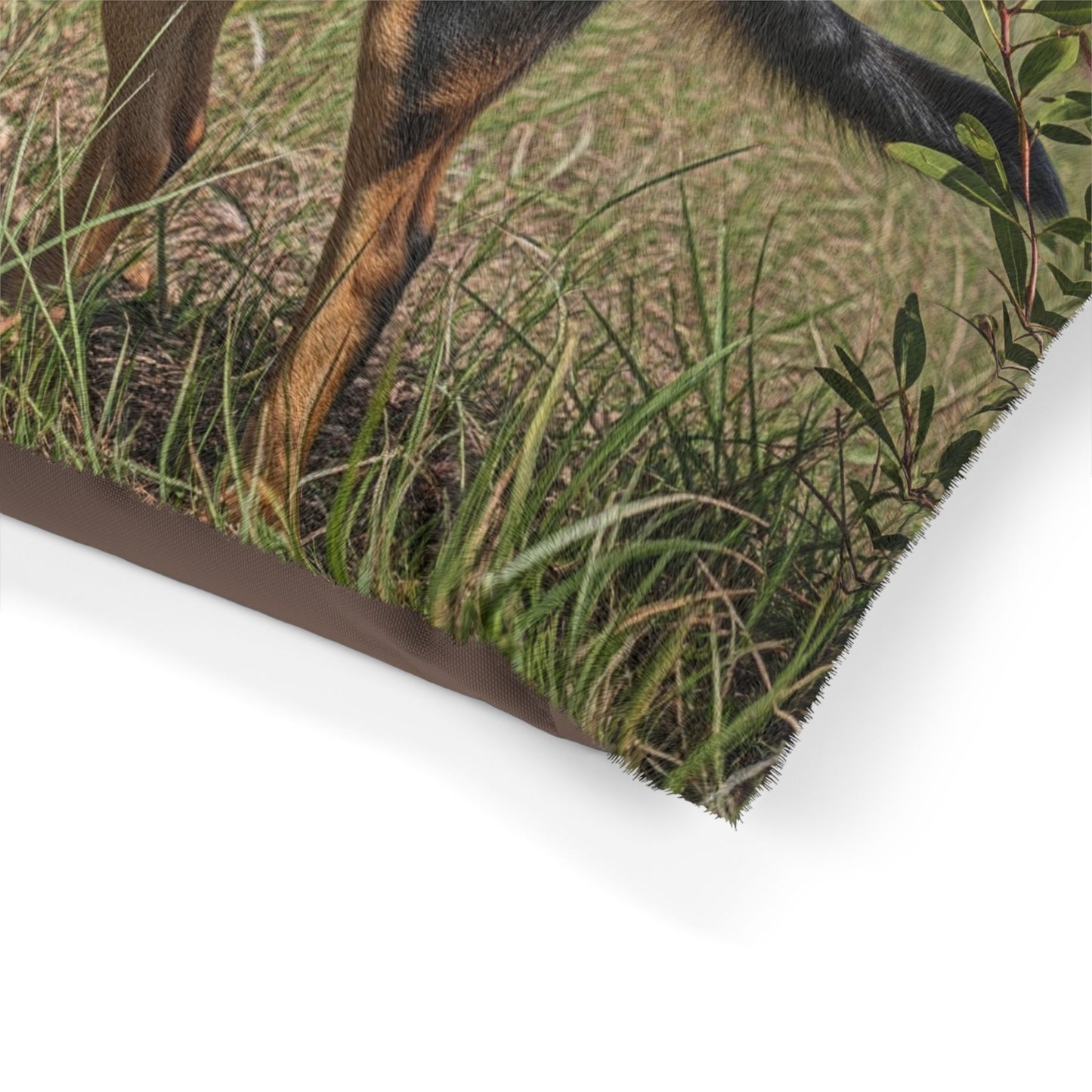 Australian Kelpie Pet Bed