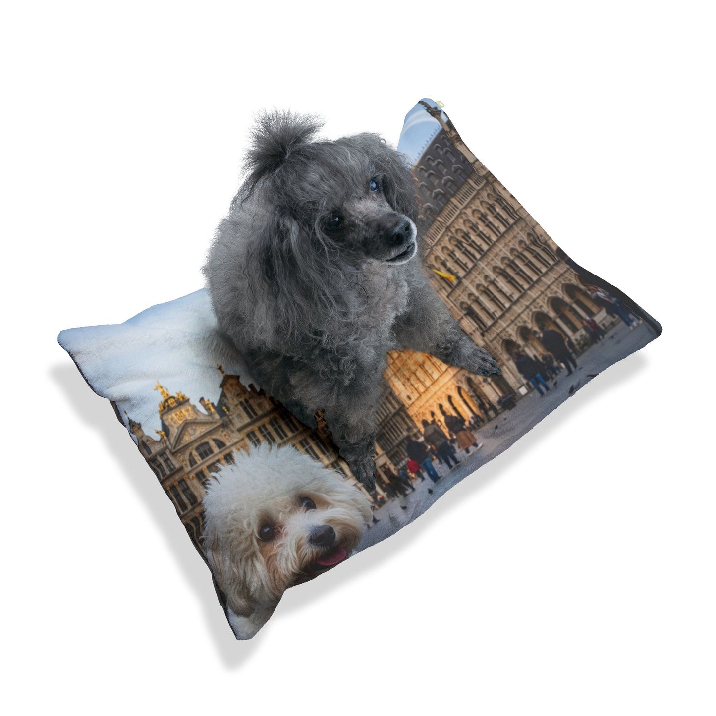 Bichon Frise Pet Bed