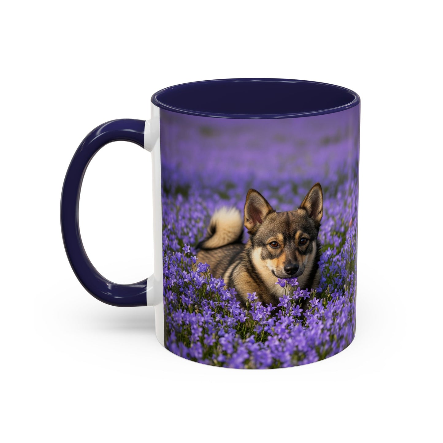 Swedish Vallhund Accent Coffee Mug - Perfect Gift for Dog Lovers