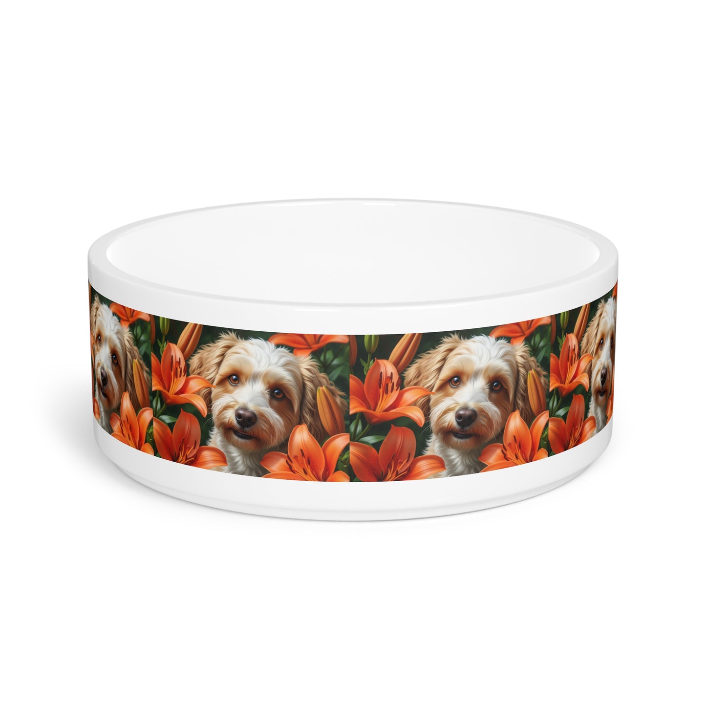 Gamelle pour Schnoodle