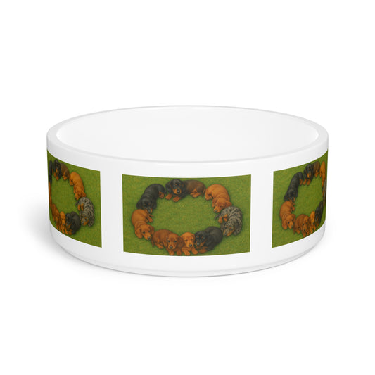 Dachshund puppies Pet Bowl