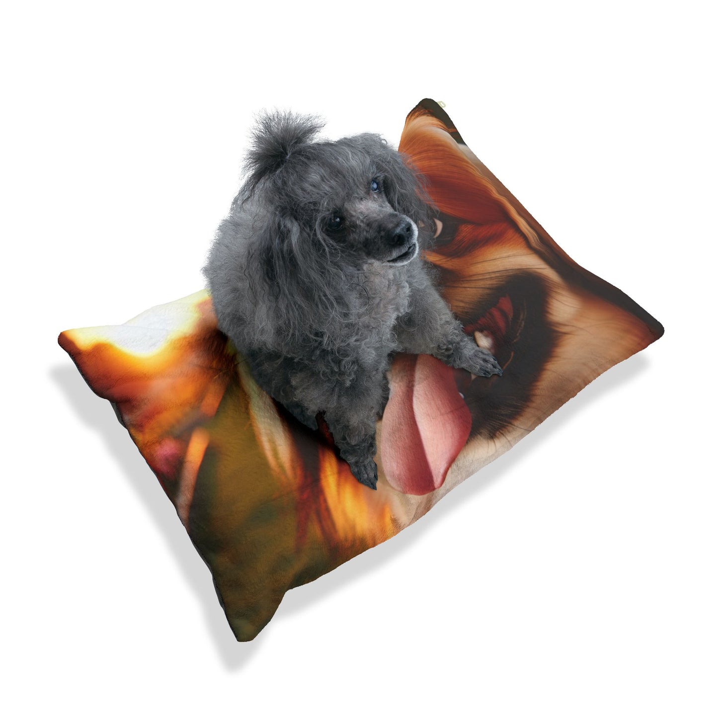 Pekingese Pet Bed