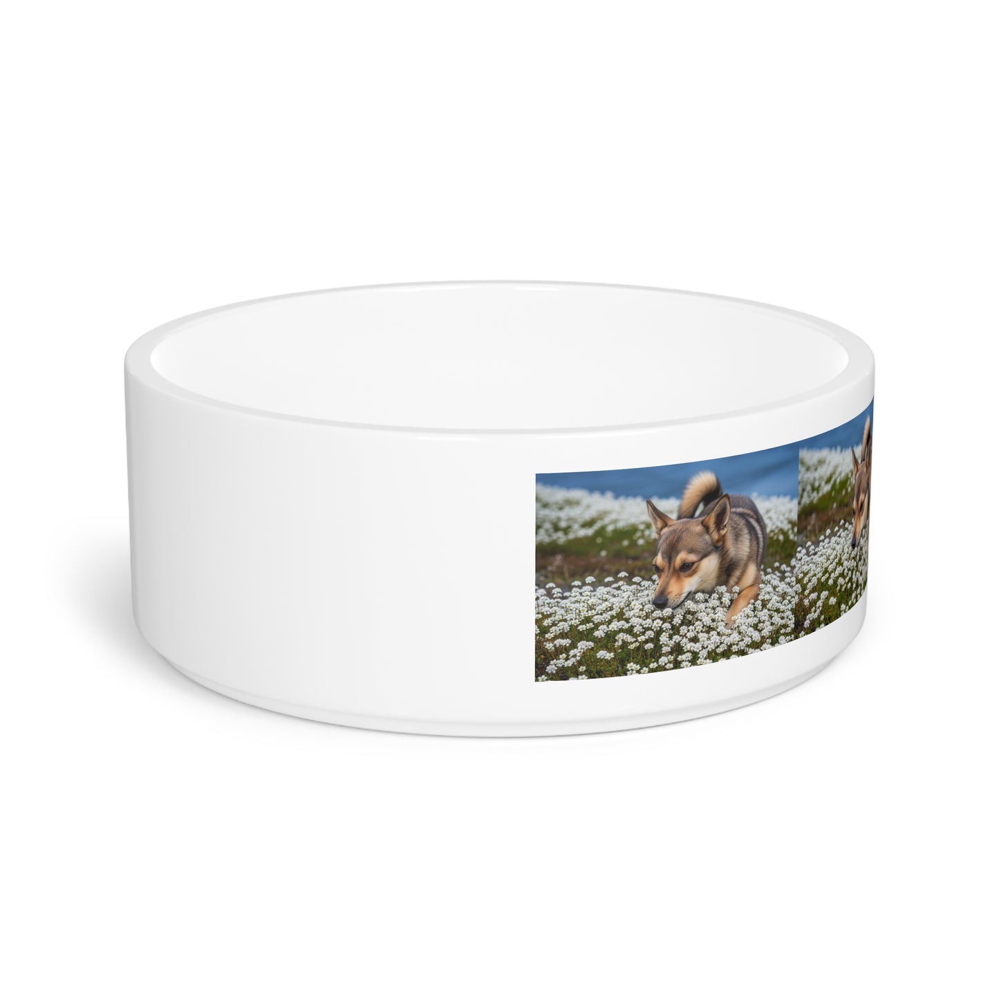 Norwegian Lundehund Pet Bowl