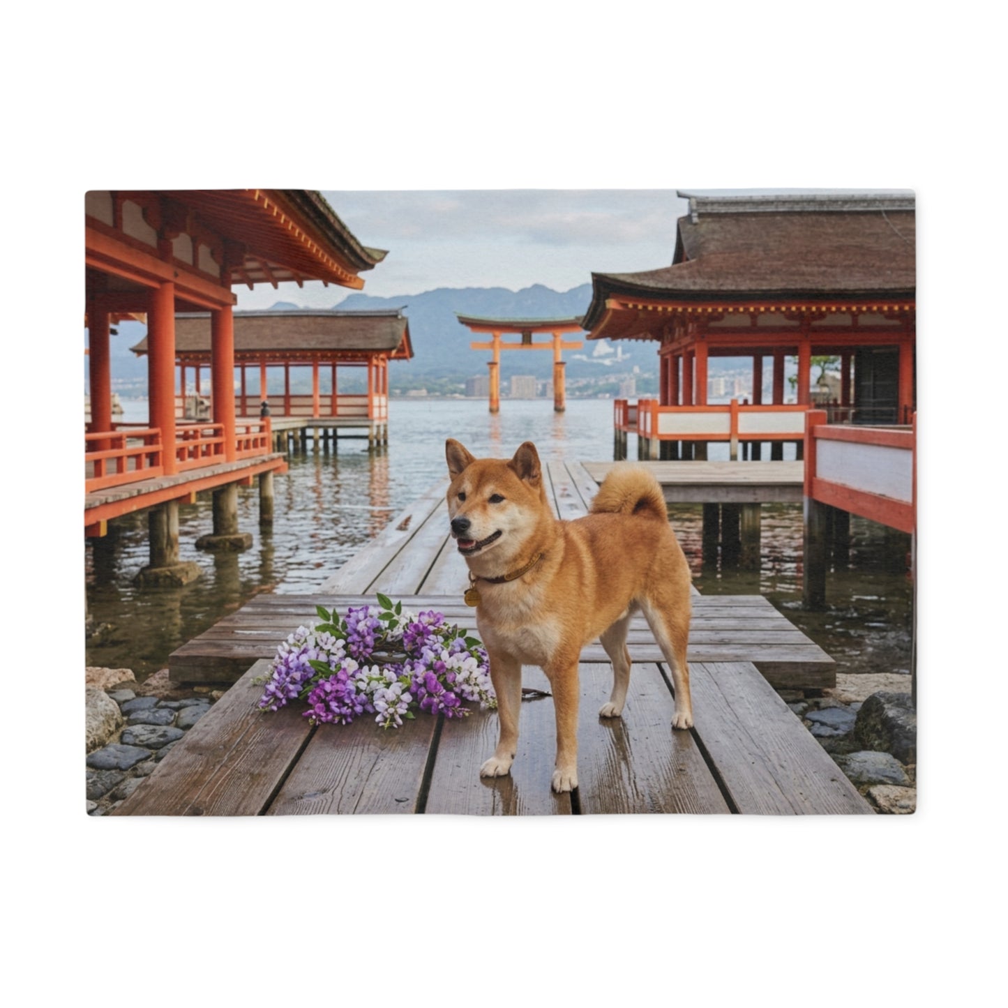 Shiba Inu Blanket