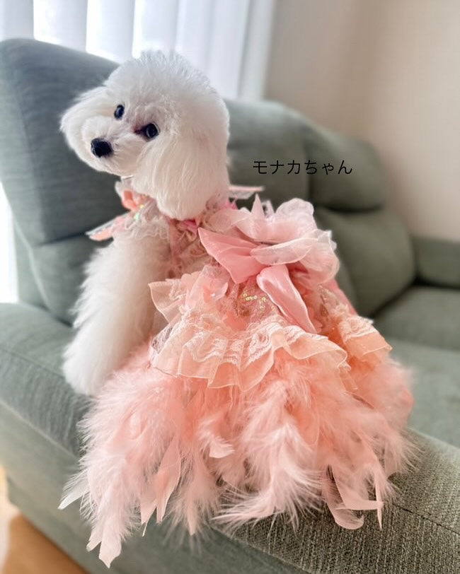 Dog Dress Feather Dream Princess Dress