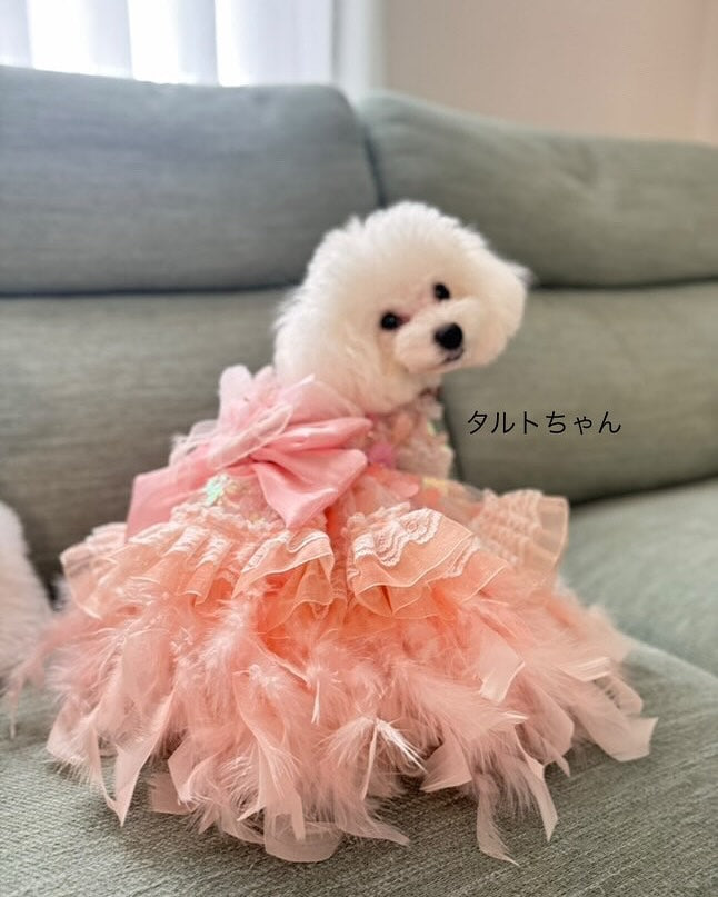 Dog Dress Feather Dream Princess Dress