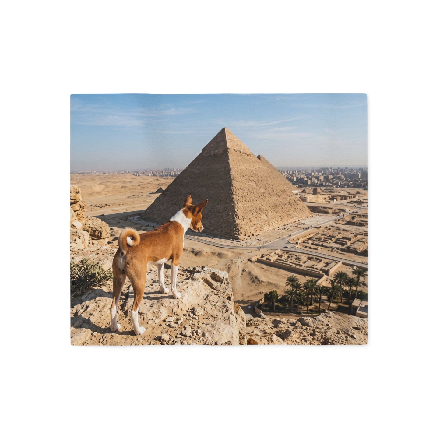Basenji Blanket