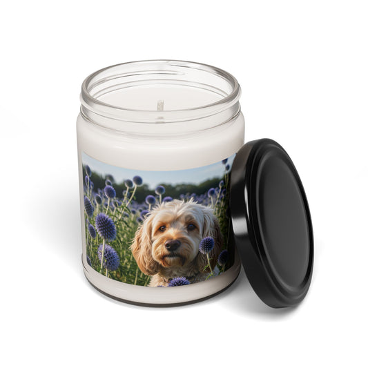 Spoodle- Scented Soy Candle, 9oz