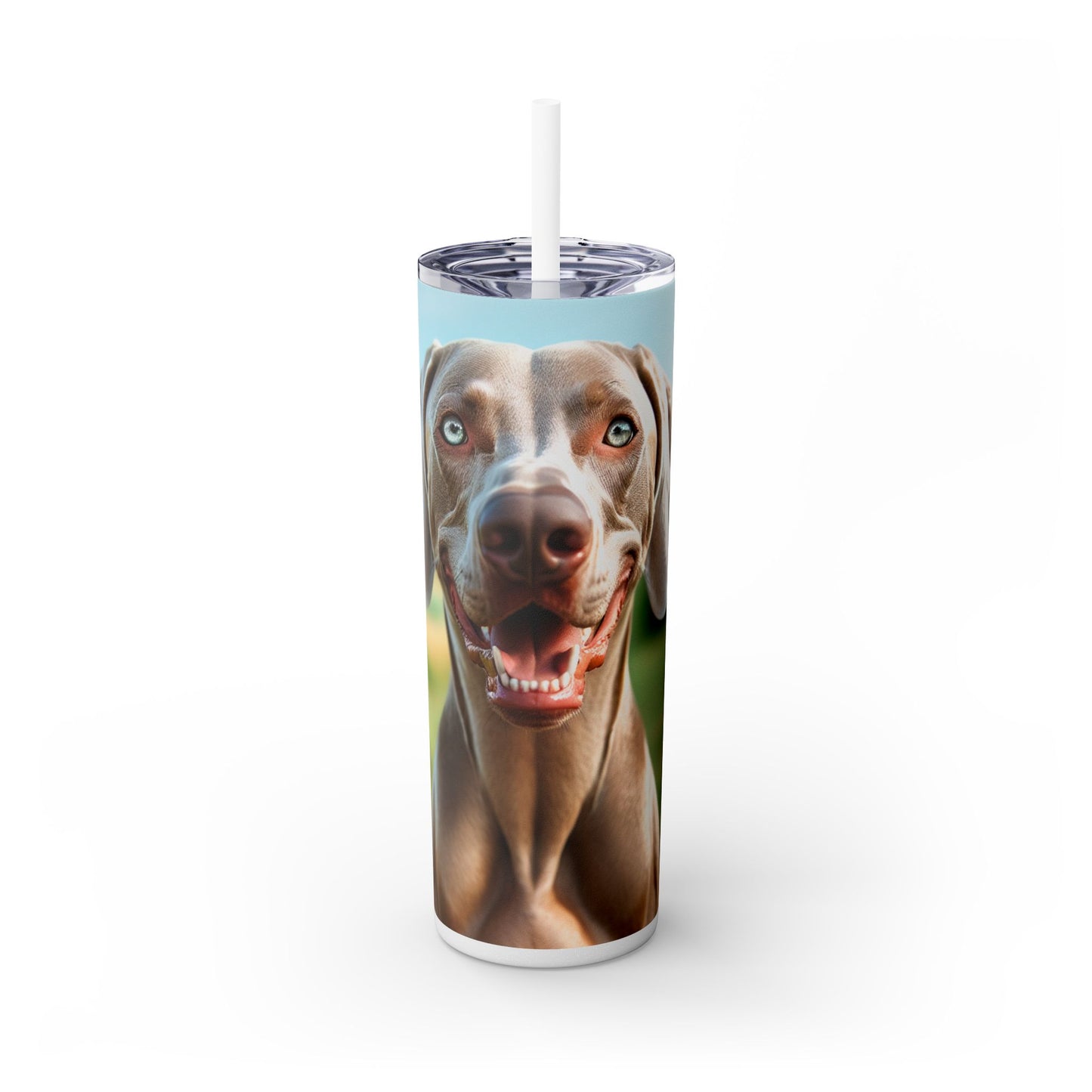 Weimaraner Skinny Tumbler with Straw, 20oz