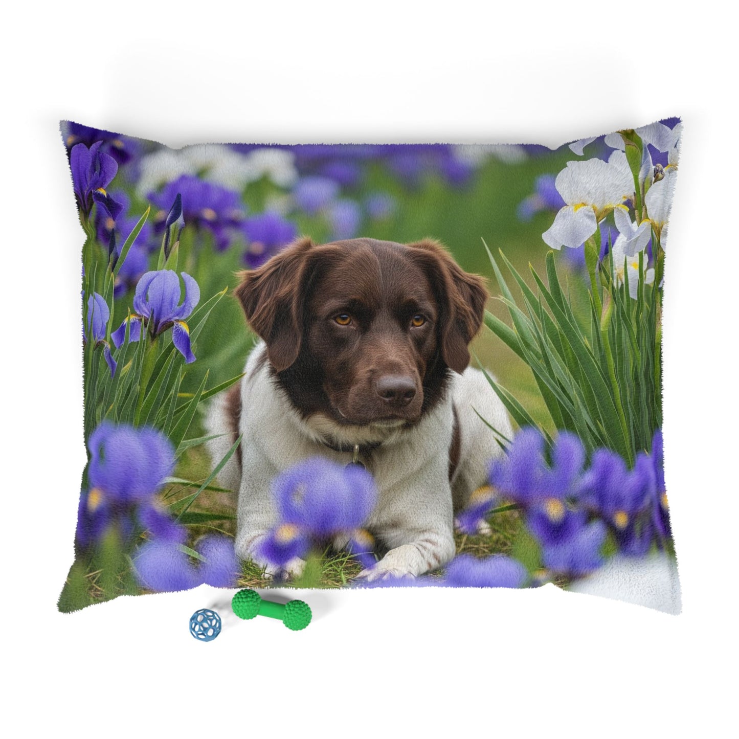Lit pour animaux Stabyhouns