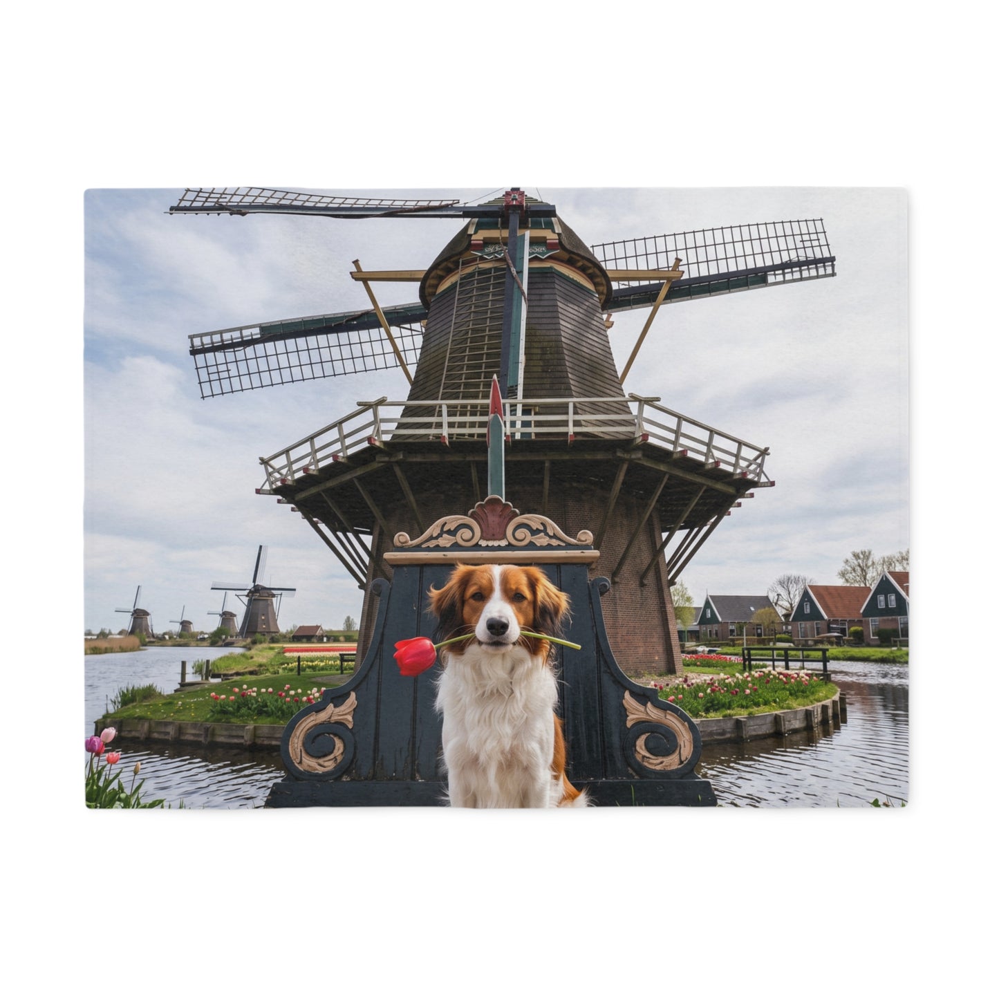 Nederlandse Kooikerhondje Blanket