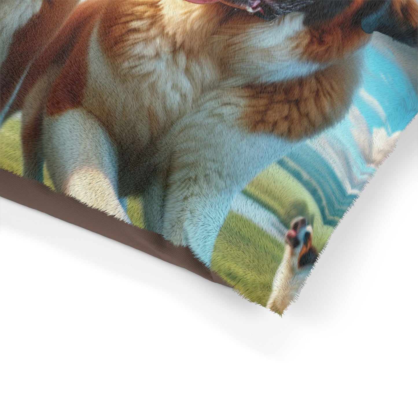 Saint Bernard Pet Bed