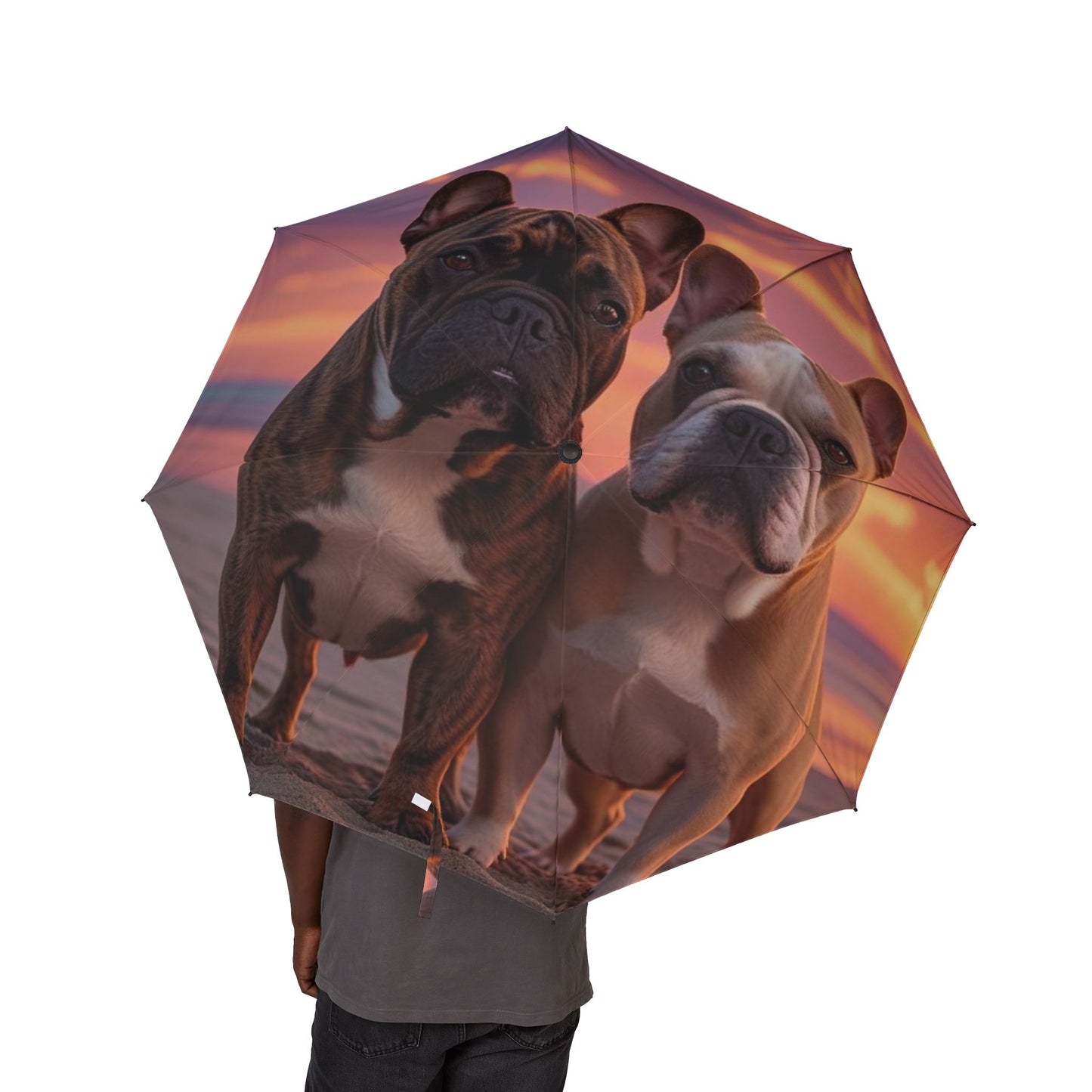 Paraguas plegable semiautomático con diseño de bulldog francés