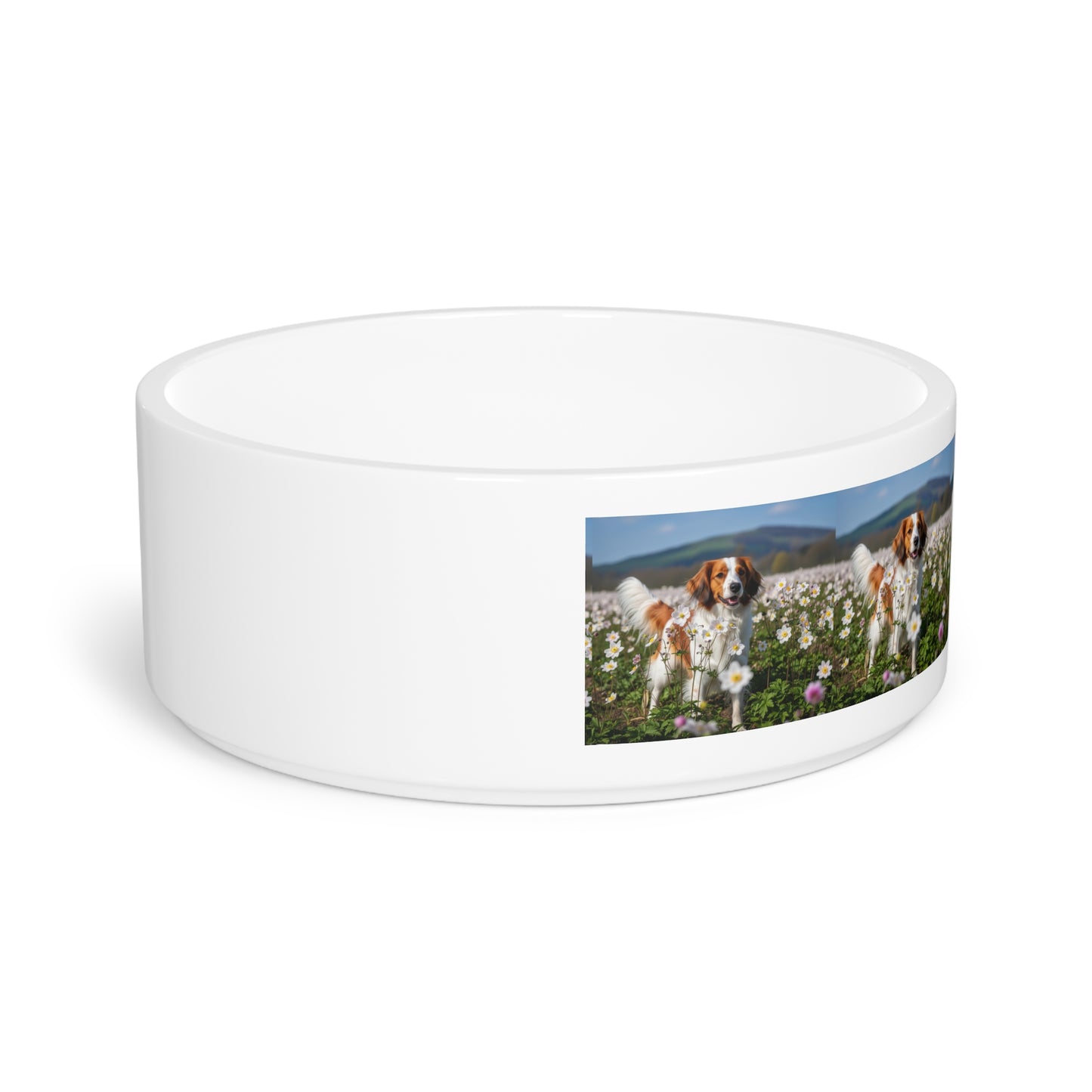 Nederlandse Kooikerhondje Gamelle pour animaux de compagnie
