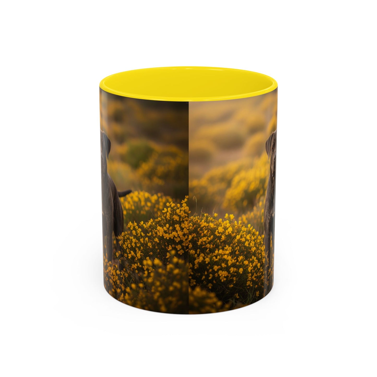 Mug Rafeiro do Alentejo Accent Coffee - Cadeau idéal pour les amoureux des chiens