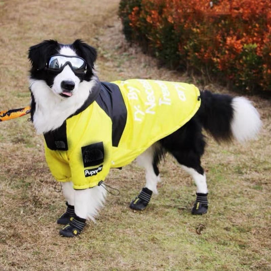 Veste pour chat ou chien coupe-vent, imperméable et réfléchissante avec motif tête de chien