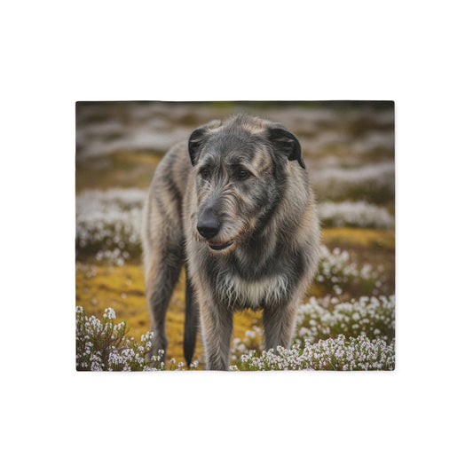 Irish Wolfhound Sweatshirt Blanket