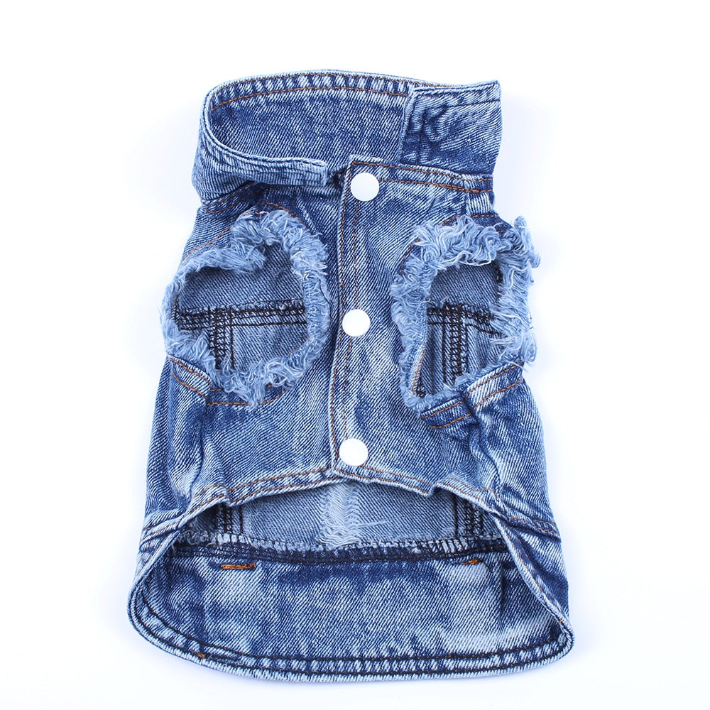 Chaqueta vaquera azul para perro y gato, abrigo y chaleco 